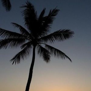 Meet your Posher, Penny